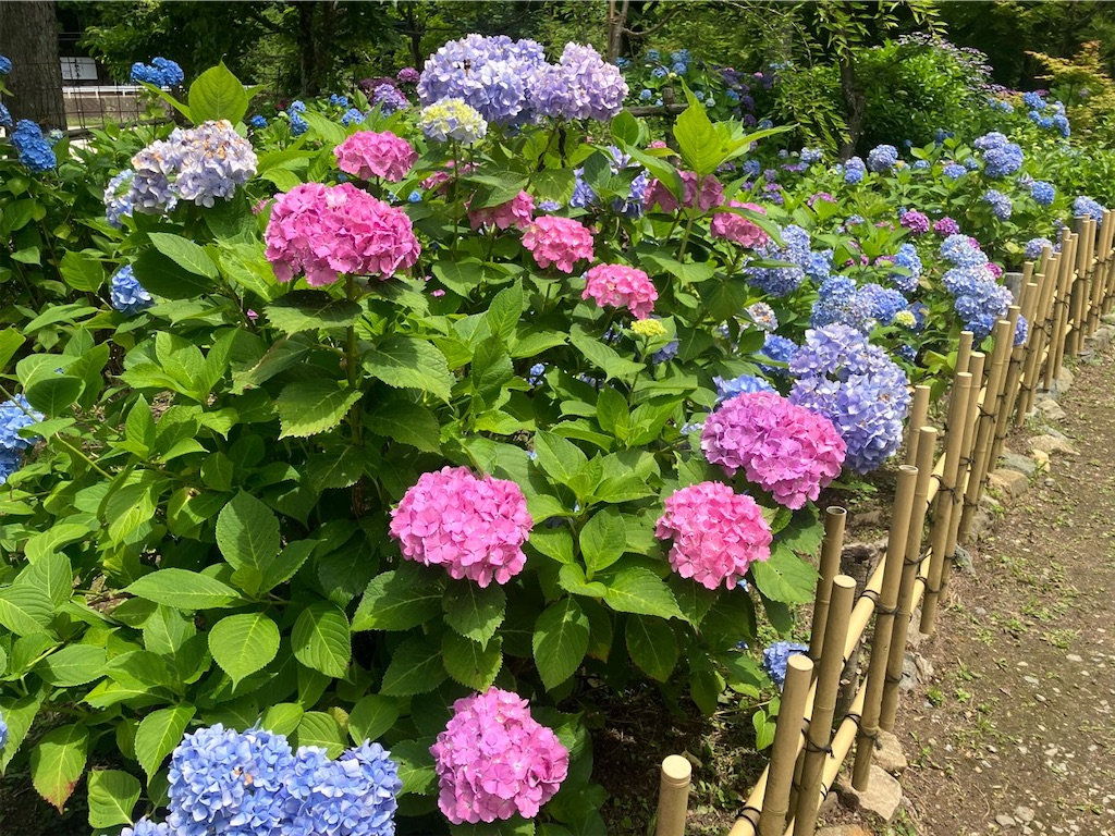 f:id:heroki4:20240601162837j:image