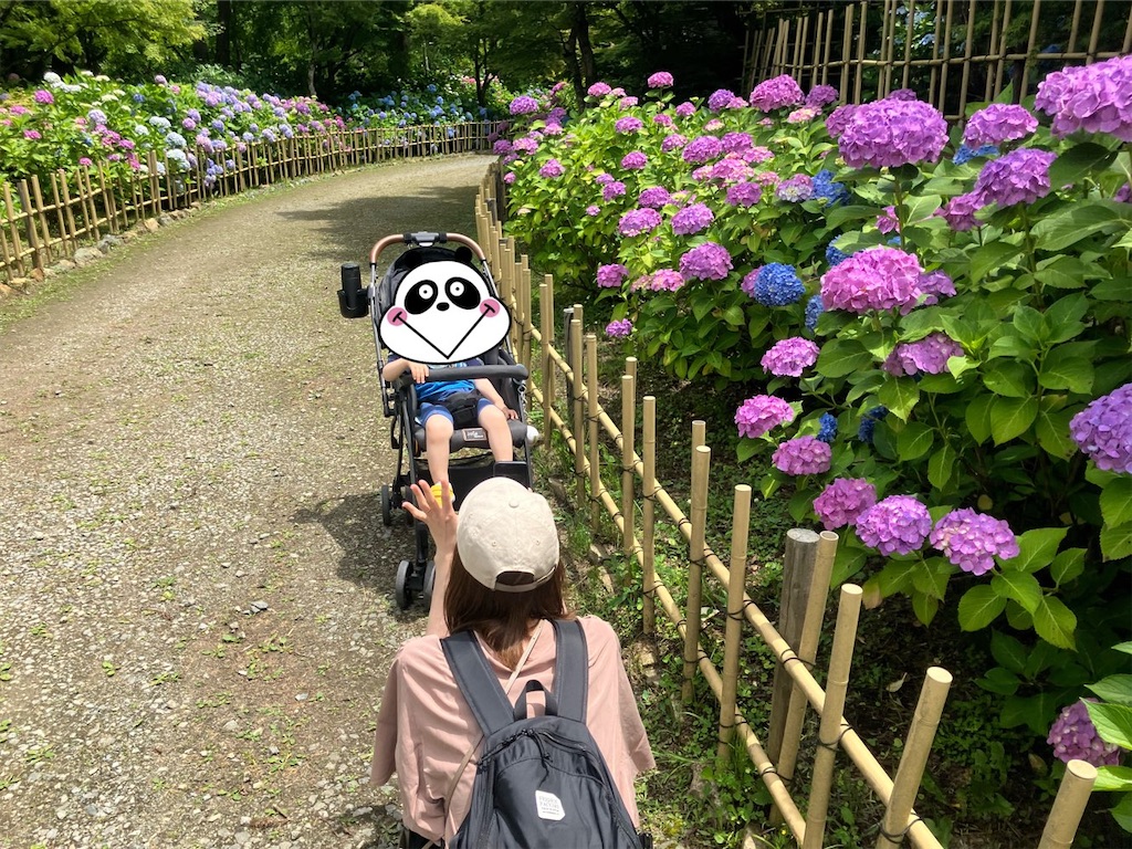 f:id:heroki4:20240601162858j:image