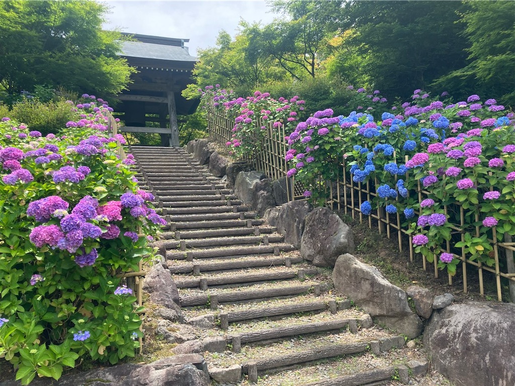 f:id:heroki4:20240601163009j:image
