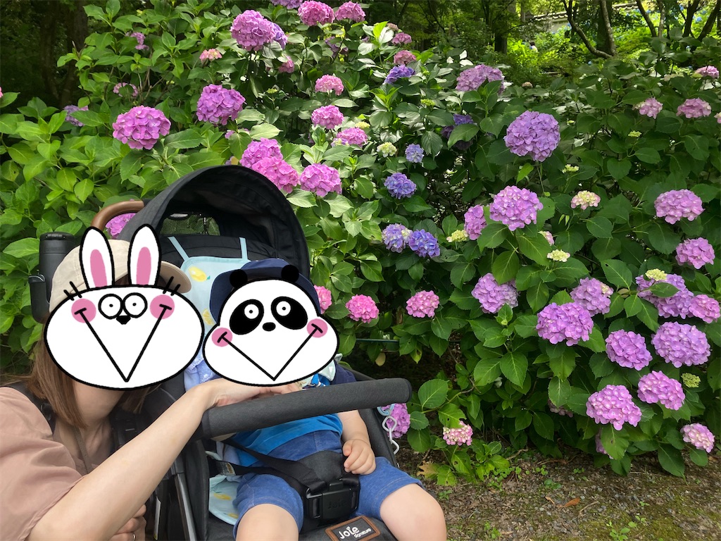f:id:heroki4:20240601181832j:image