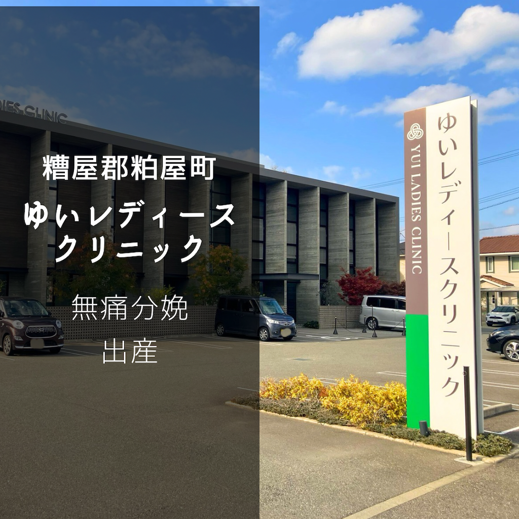 f:id:heroki4:20250126100716p:image