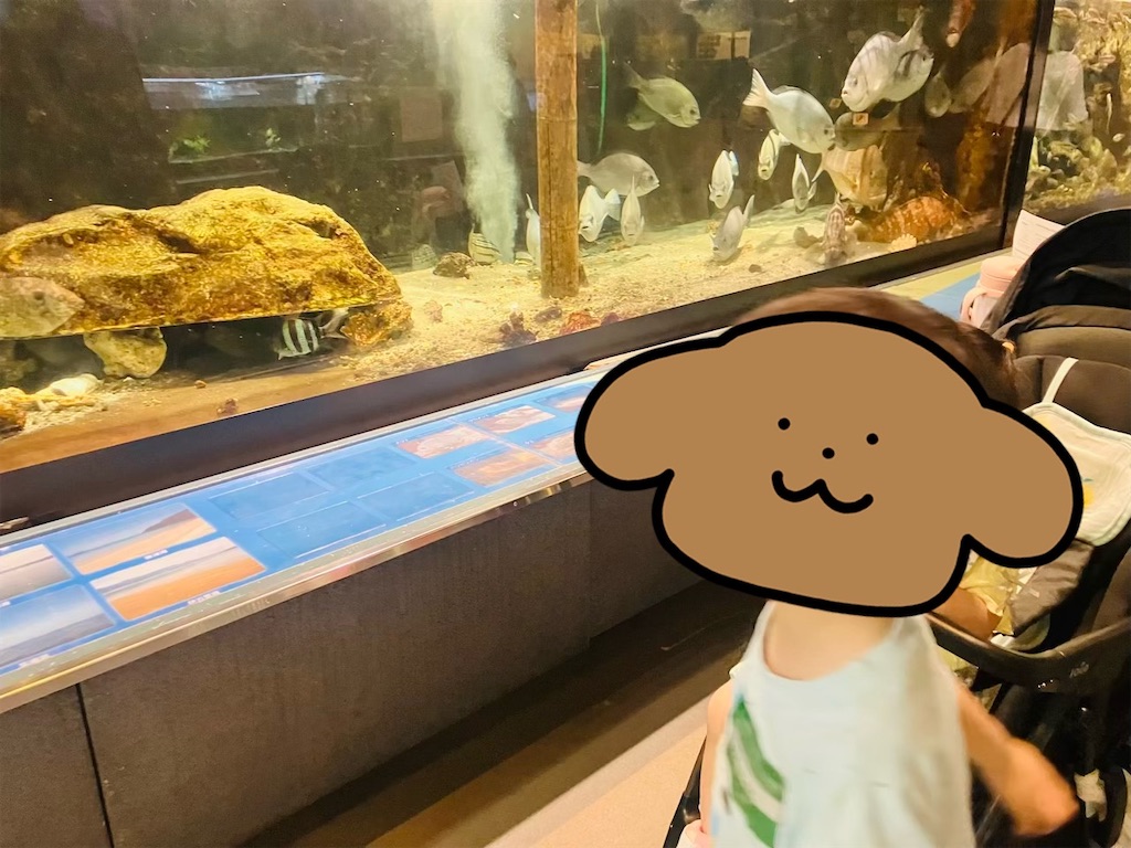 f:id:heroki4:20260707121904j:image