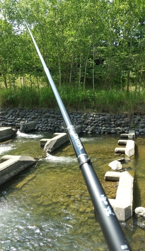 コンパクトでミニマリストに最適な渓流竿 Daiwa 雪渓 Rを使った感想 33式老後生活
