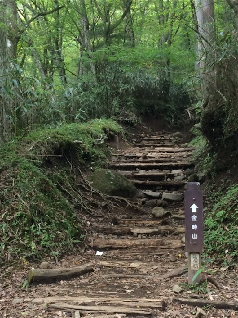f:id:herpes_carrier:20171001214404j:image 金時山入口からの登山口