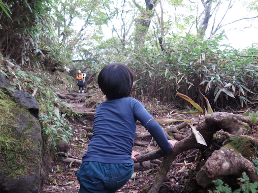 f:id:herpes_carrier:20171001214626j:image 金時山を踏破する4歳