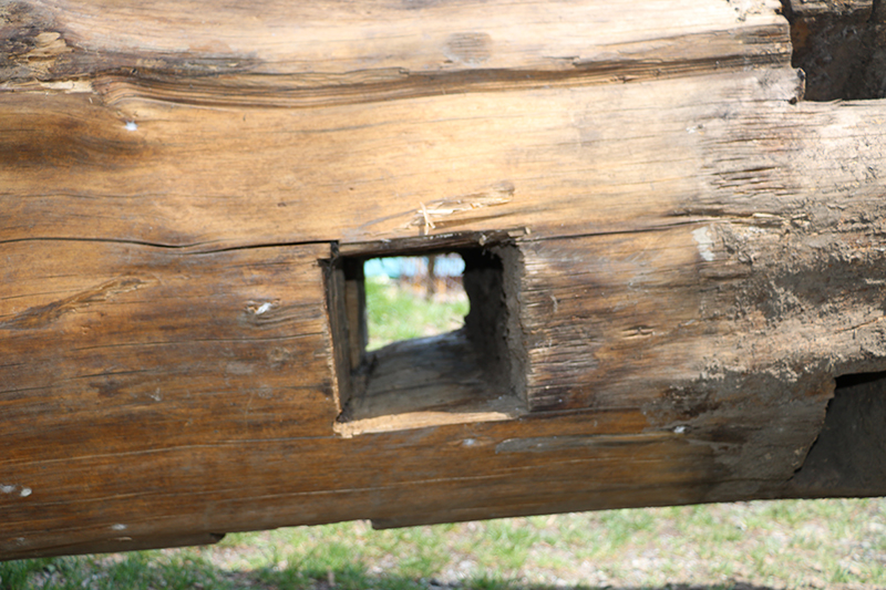 f:id:hesocha:20160422222432j:plain f:id:hesocha:20160422222432j:plain