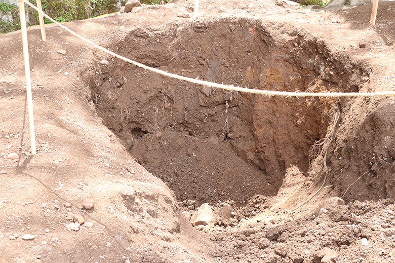 f:id:hesocha:20160424201334j:plain f:id:hesocha:20160424201334j:plain