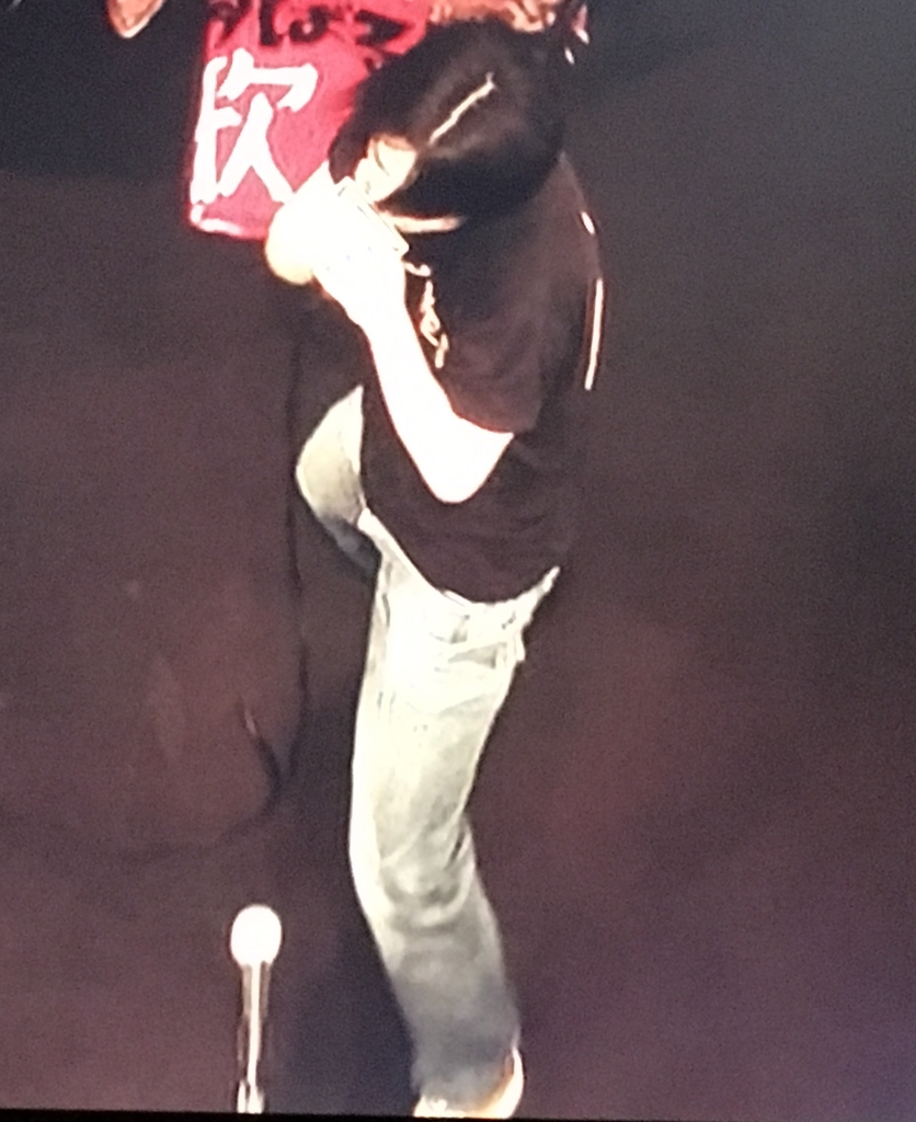 f:id:hesomagar1:20190121001224j:plain