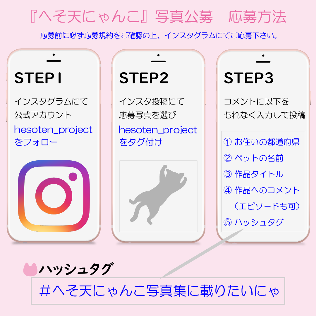 へそ天にゃんこ』写真大募集！ - へそ天プロジェクト 公式ページ