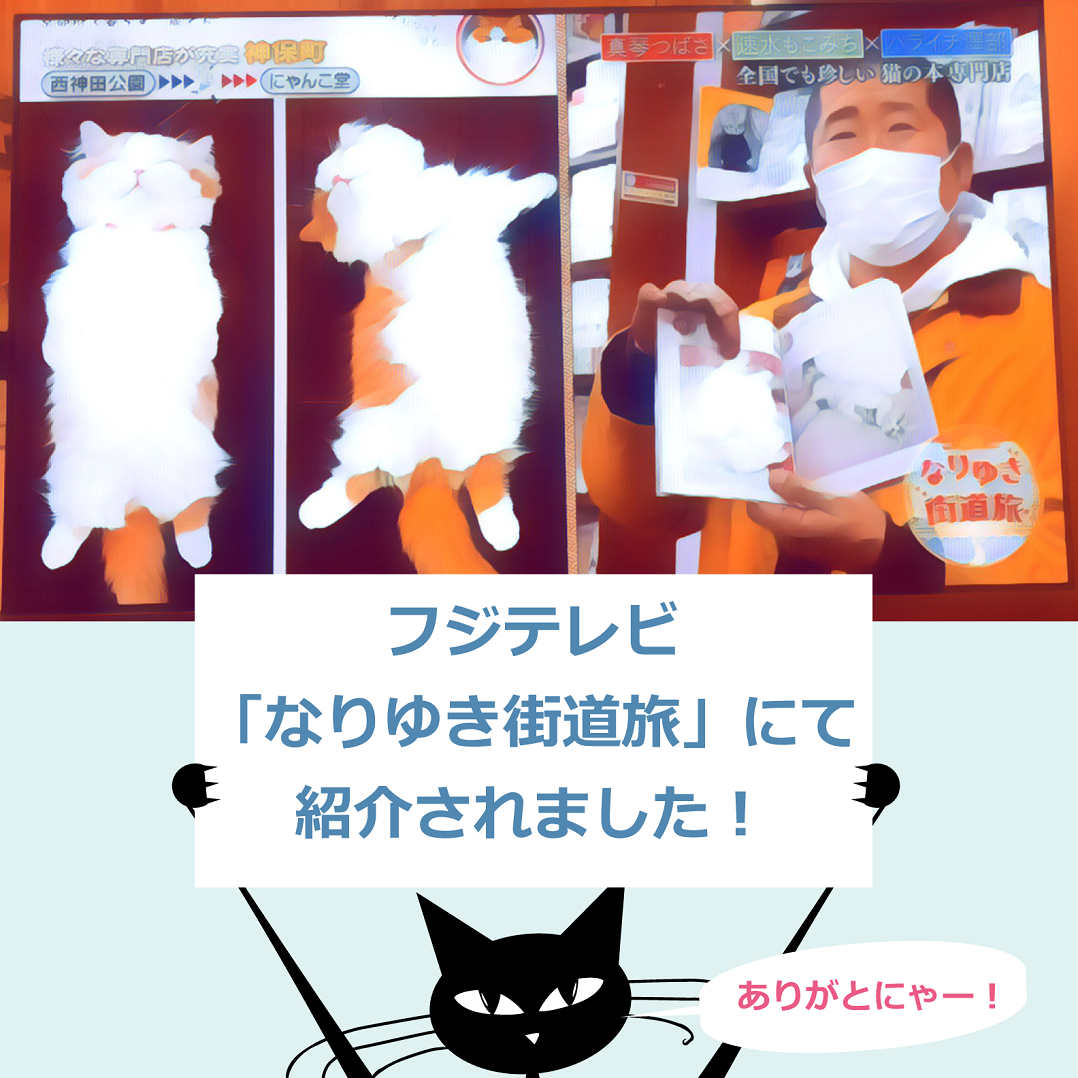 f:id:hesoten:20220306183623p:plain
