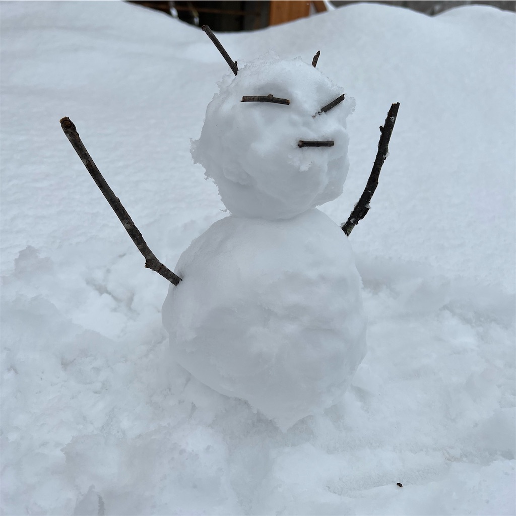 f:id:hetaretonbo:20220323113507j:image f:id:hetaretonbo:20220323113507j:image