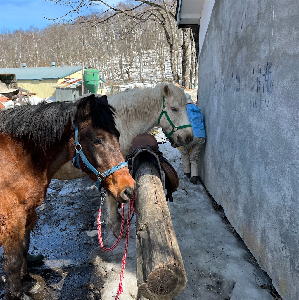 f:id:hetaretonbo:20230323131134j:image f:id:hetaretonbo:20230323131134j:image