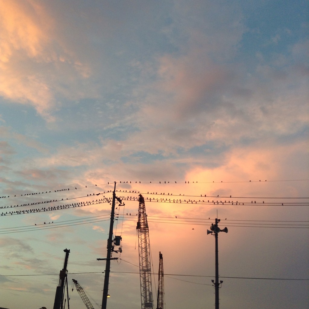 f:id:hetareusa:20160827004454j:plain