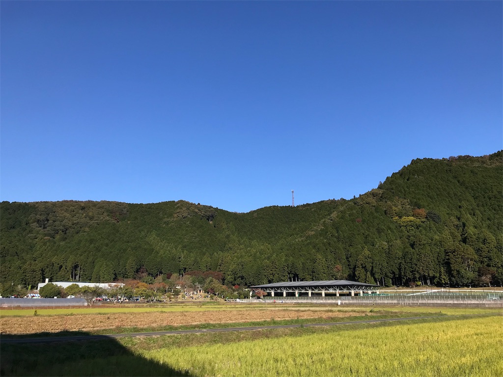 f:id:hetibo:20191111012304j:image f:id:hetibo:20191111012304j:image