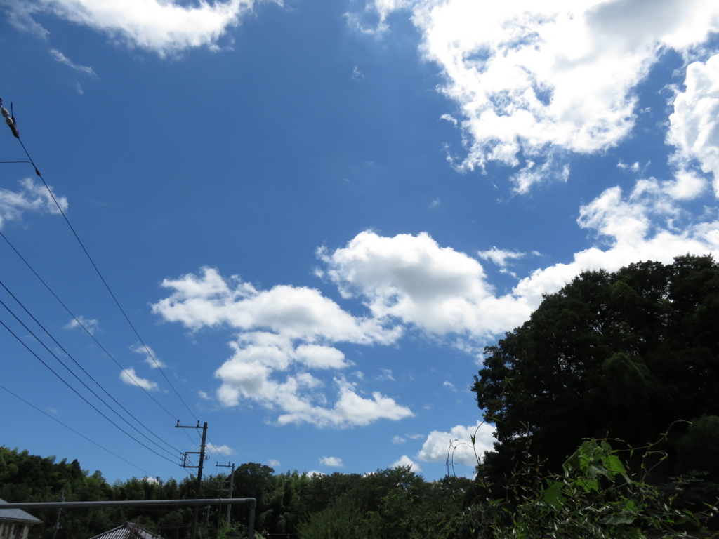 f:id:hettare:20160729212940j:plain