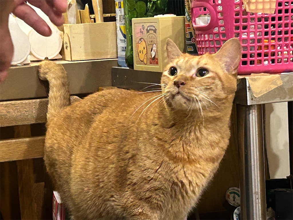 f:id:heurige2:20251129103656j:image