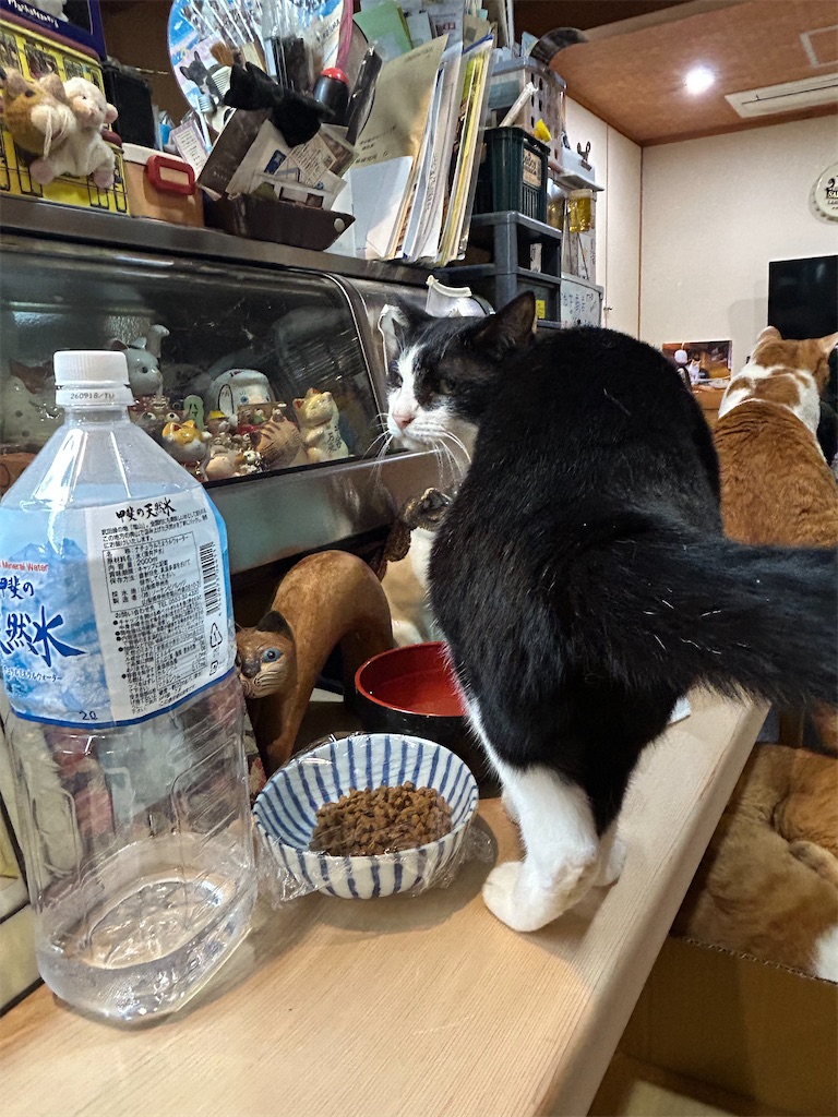 f:id:heurige2:20251129103705j:image