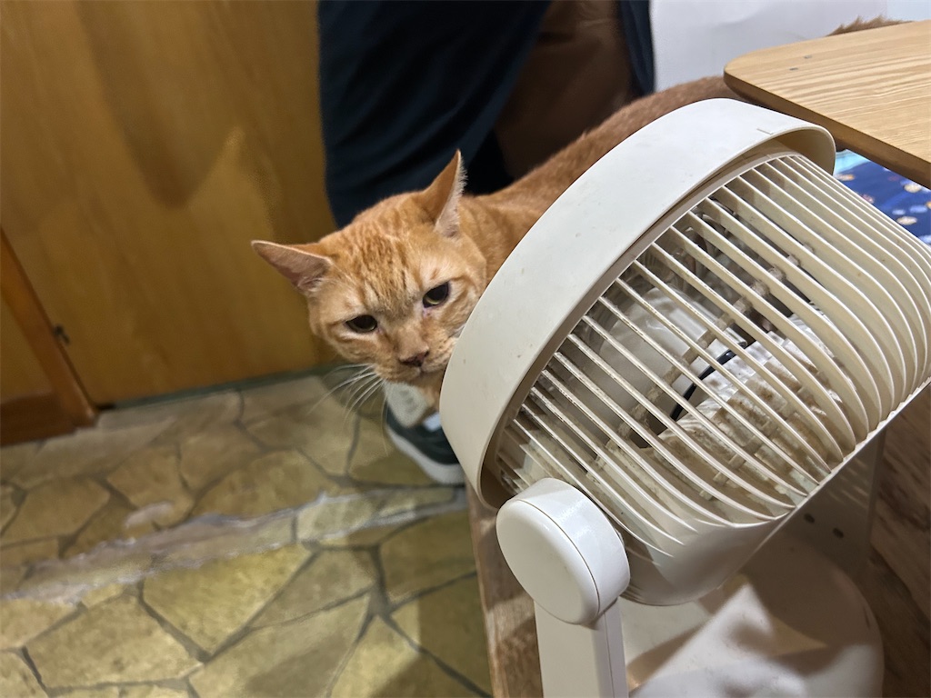 f:id:heurige2:20251129103713j:image