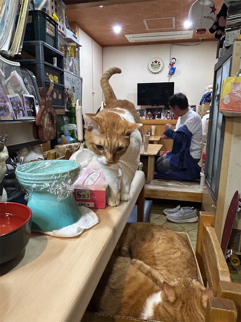 f:id:heurige2:20251129103718j:image