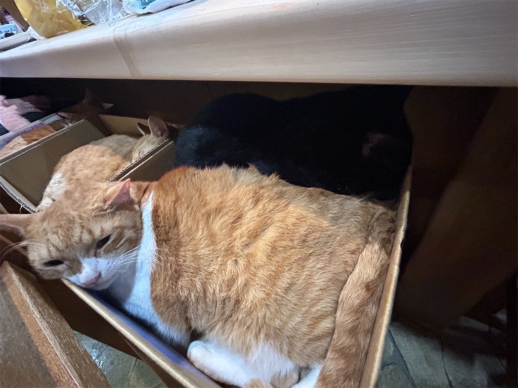 f:id:heurige2:20251129103726j:image