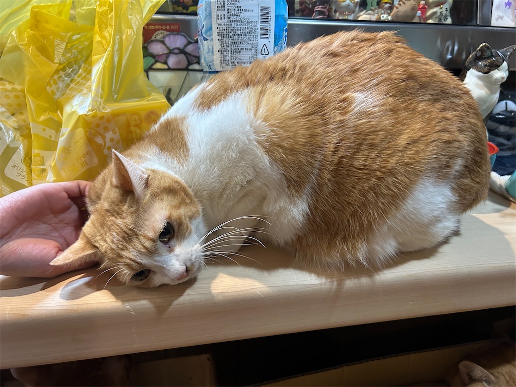 f:id:heurige2:20251129104621j:image