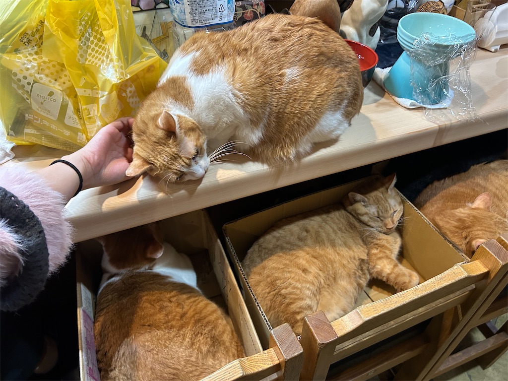 f:id:heurige2:20251129104626j:image