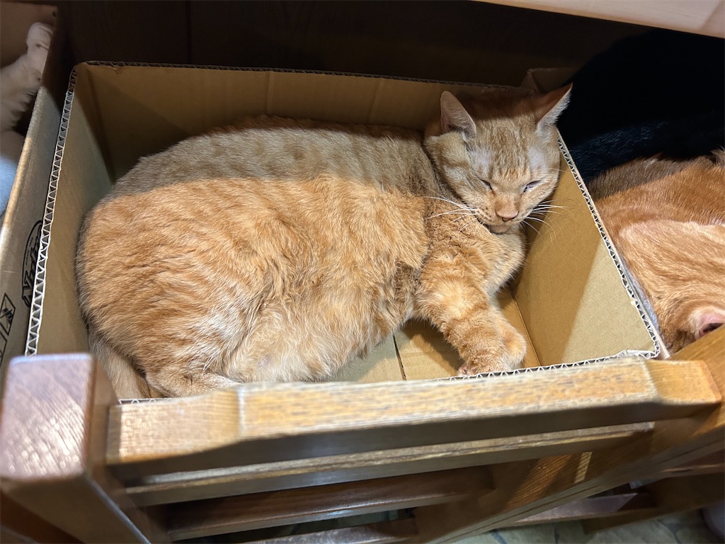 f:id:heurige2:20251129105905j:image