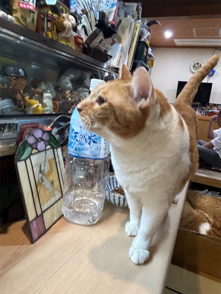 f:id:heurige2:20251129105908j:image