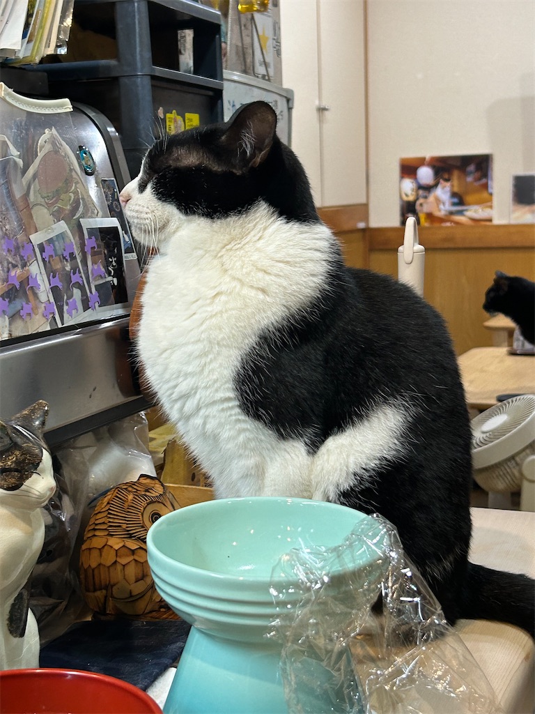 f:id:heurige2:20251129105914j:image