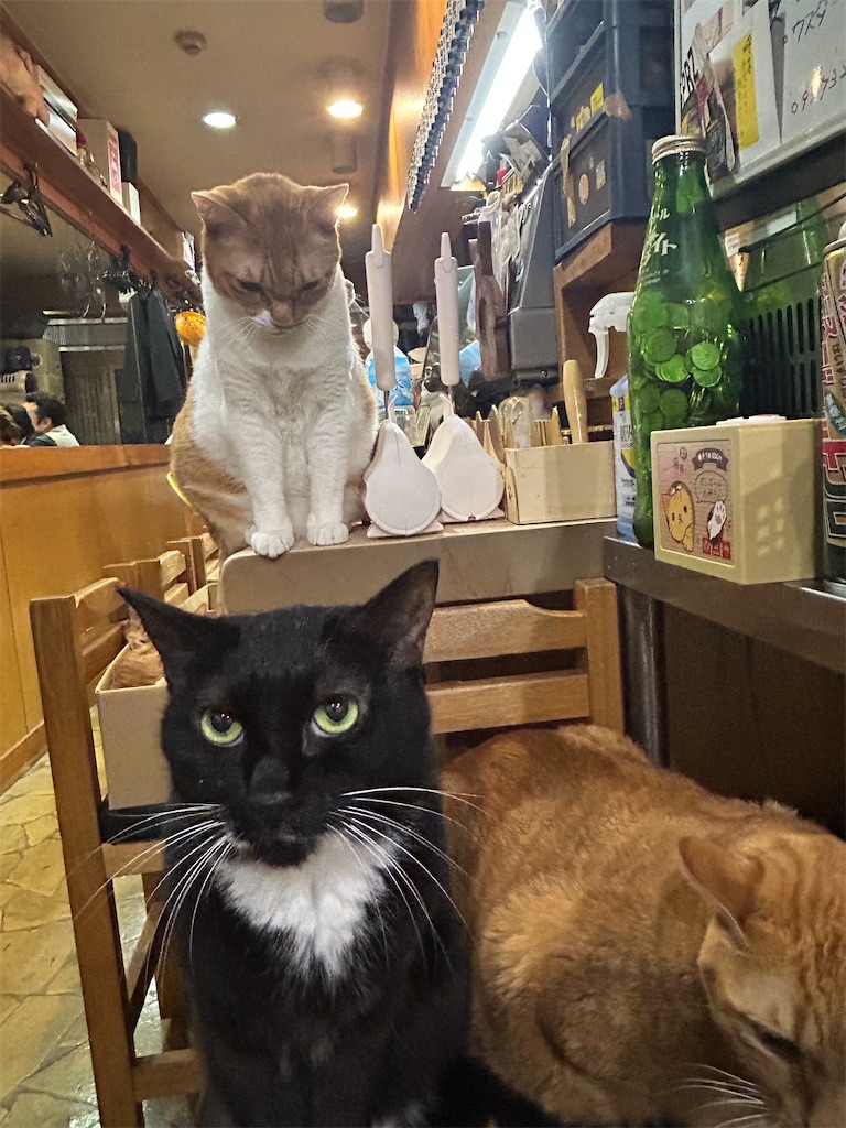 f:id:heurige2:20251129105923j:image