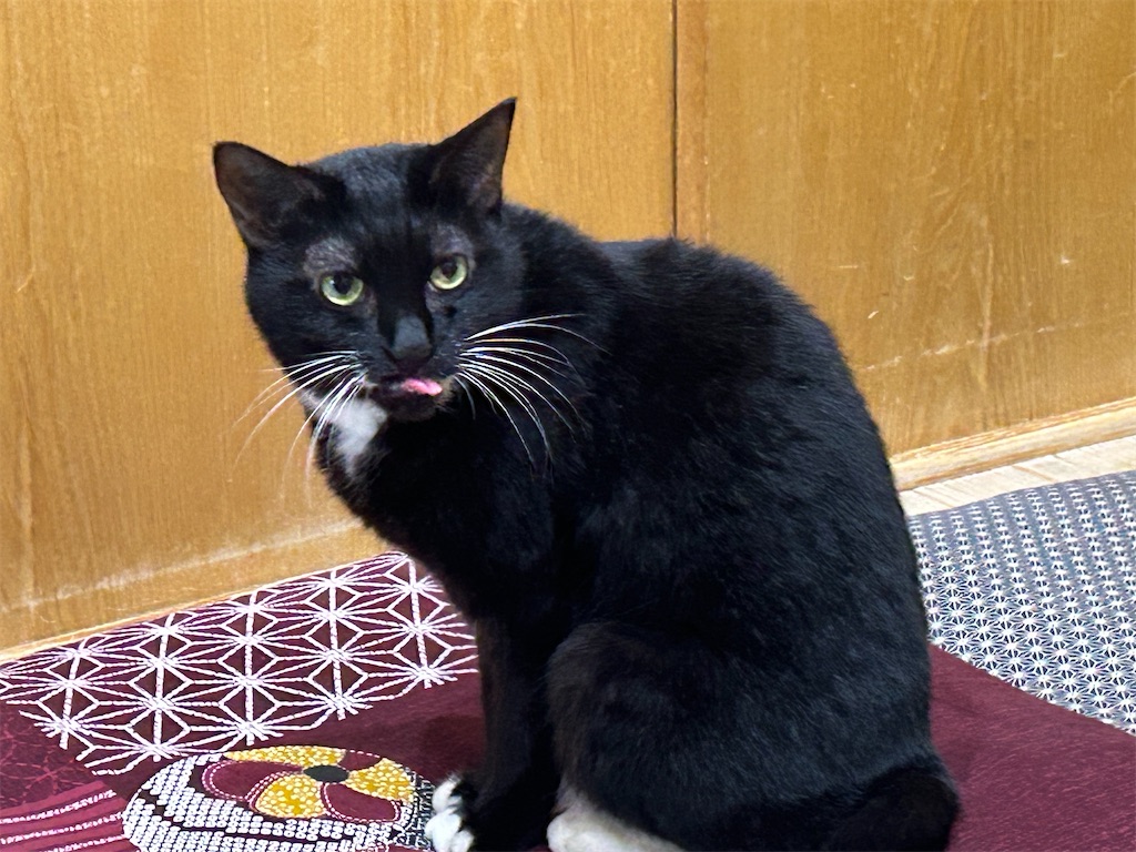 f:id:heurige2:20251129105926j:image