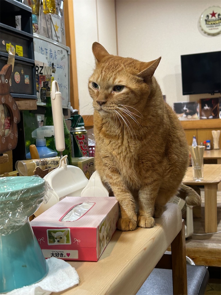 f:id:heurige2:20251129105931j:image