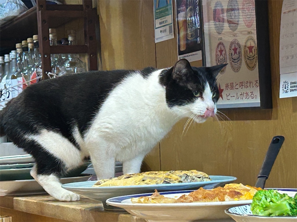 f:id:heurige2:20251129113739j:image