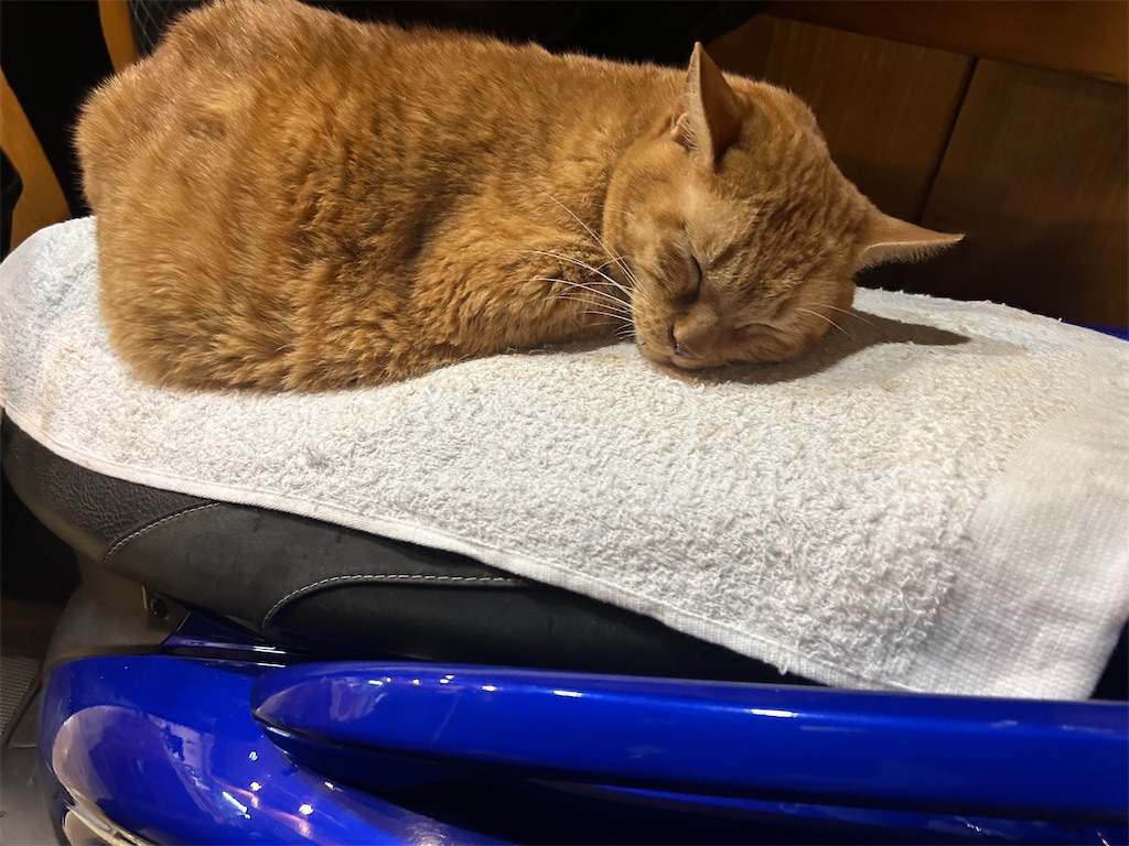 f:id:heurige2:20251129113743j:image