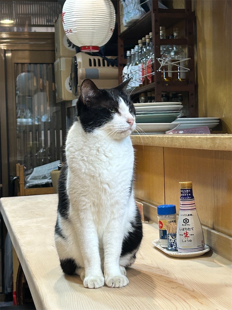 f:id:heurige2:20251129113752j:image