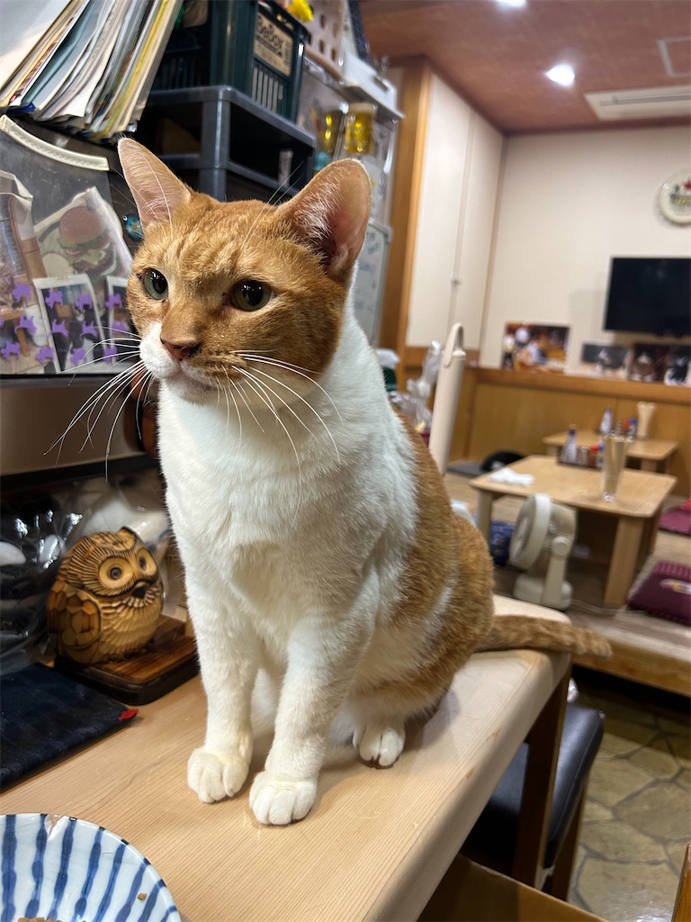 f:id:heurige2:20251129113756j:image