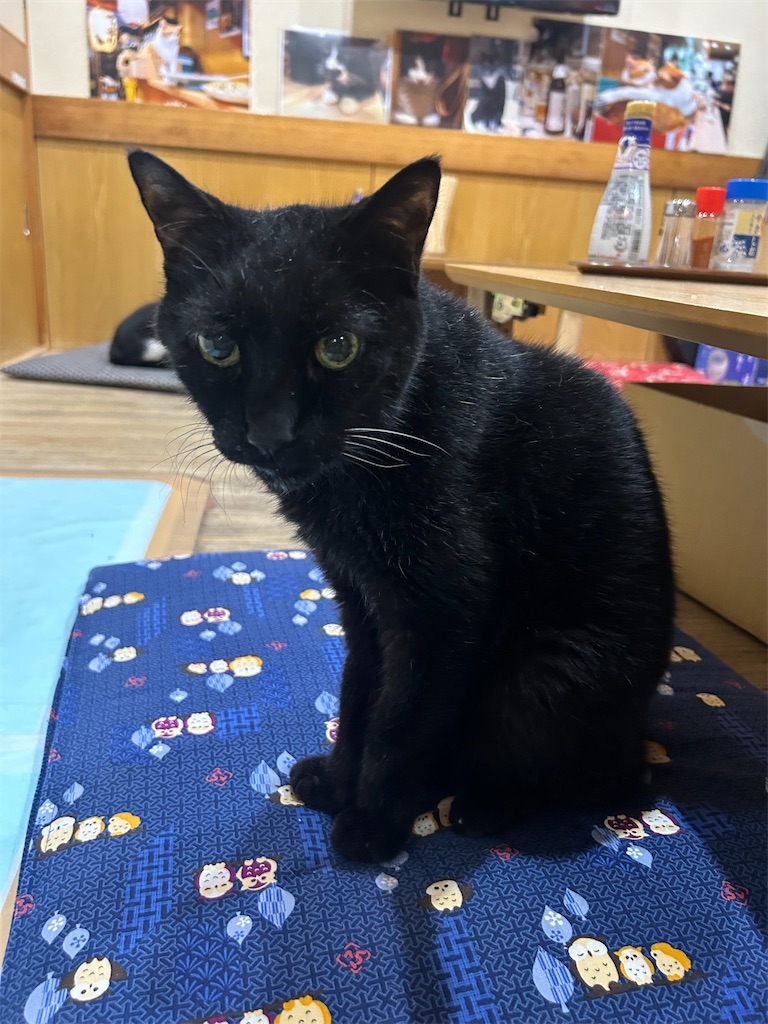 f:id:heurige2:20251129113819j:image