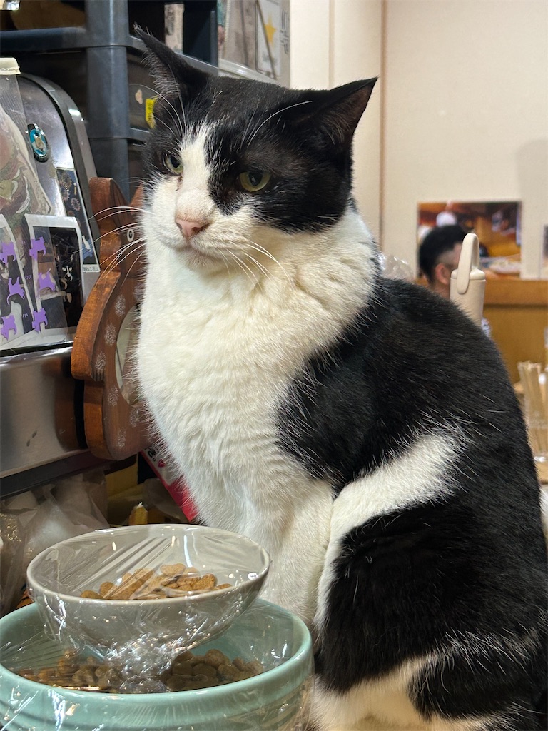 f:id:heurige2:20251129113823j:image