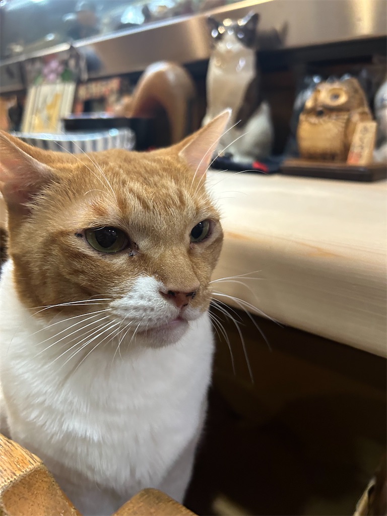 f:id:heurige2:20251129113834j:image