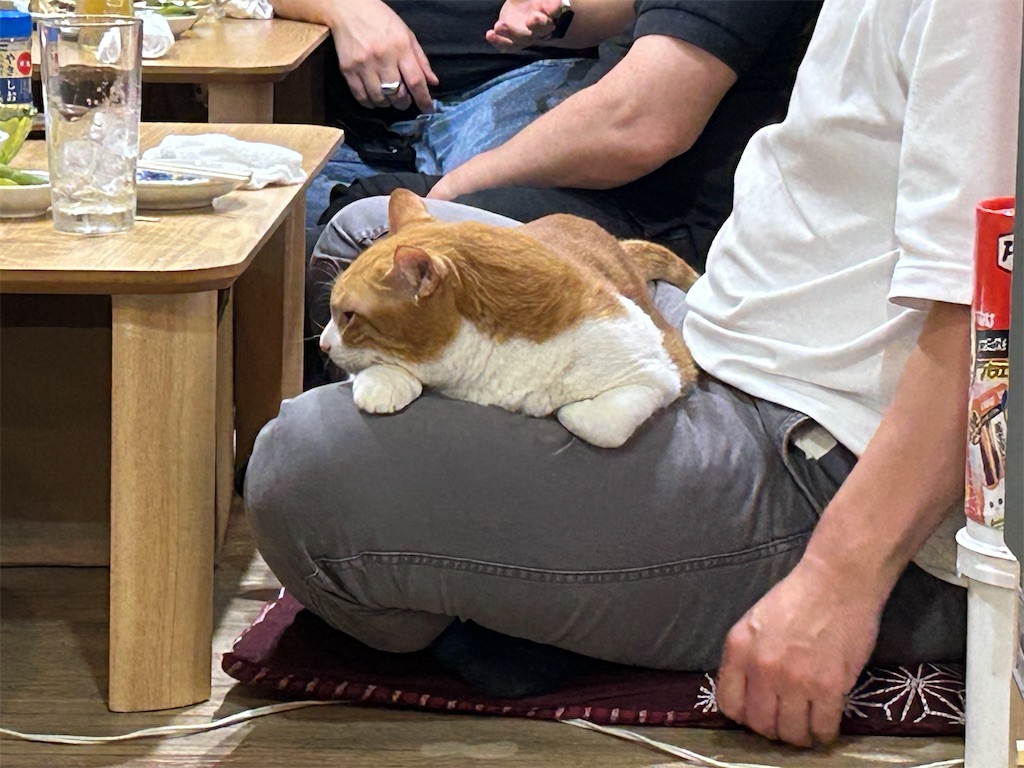 f:id:heurige2:20251129113856j:image