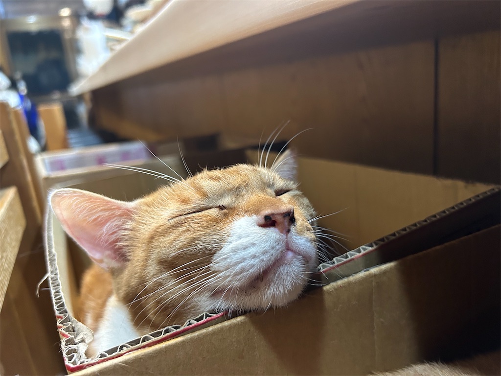 f:id:heurige2:20251129113859j:image