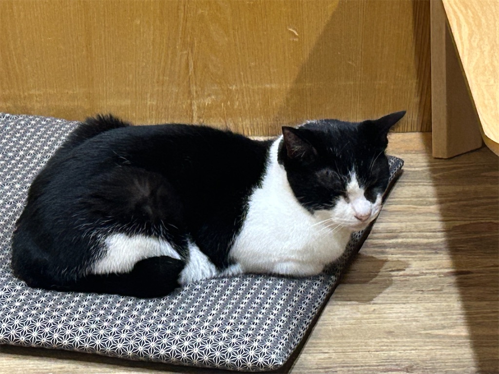 f:id:heurige2:20251129113925j:image