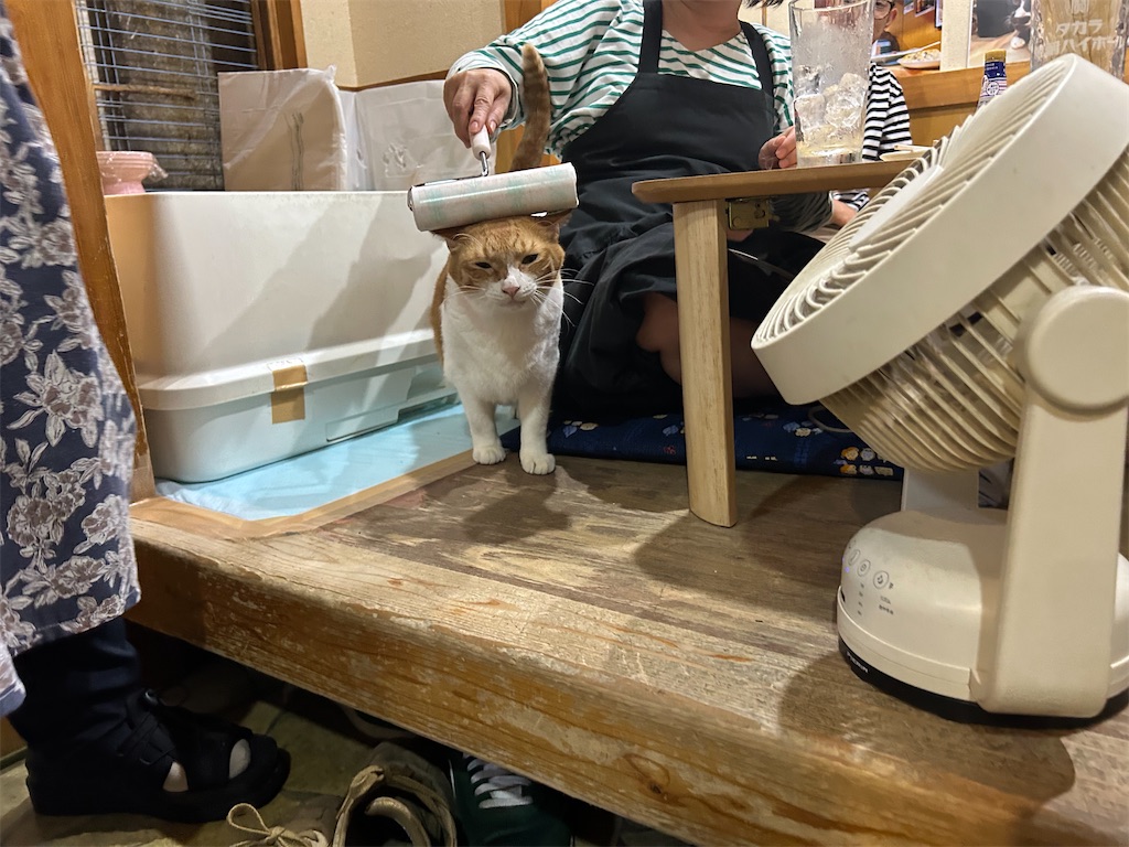 f:id:heurige2:20251129113933j:image