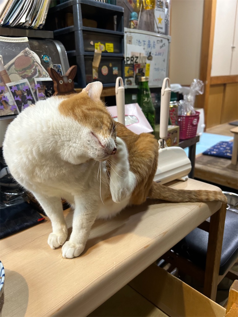 f:id:heurige2:20251129113939j:image