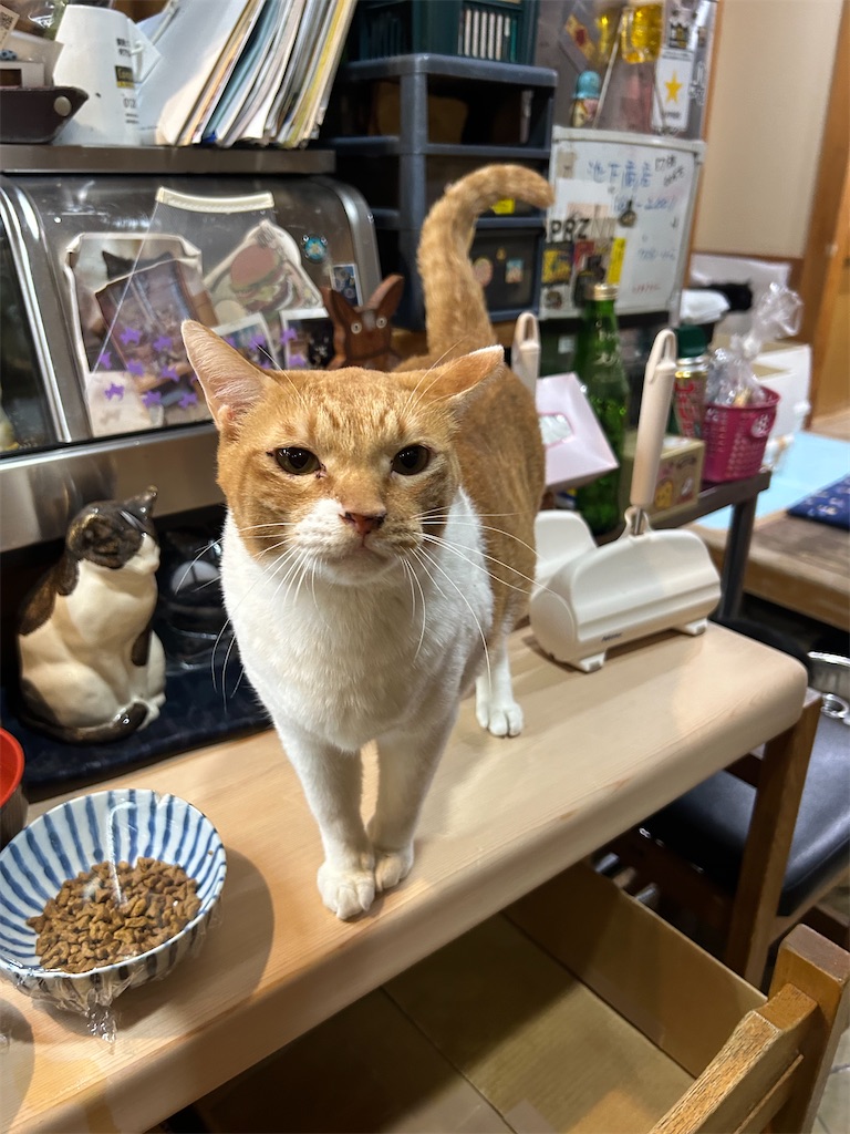 f:id:heurige2:20251129114003j:image