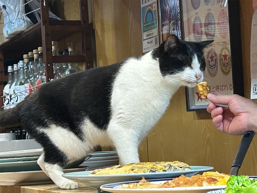 f:id:heurige2:20251129114012j:image