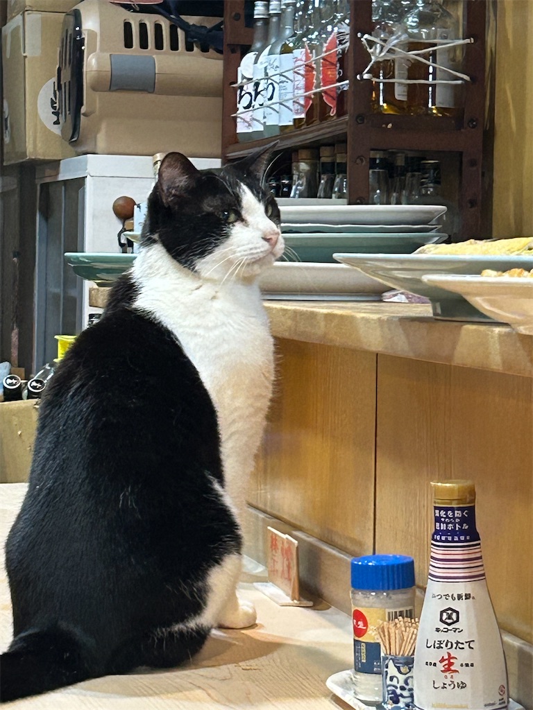 f:id:heurige2:20251129114020j:image