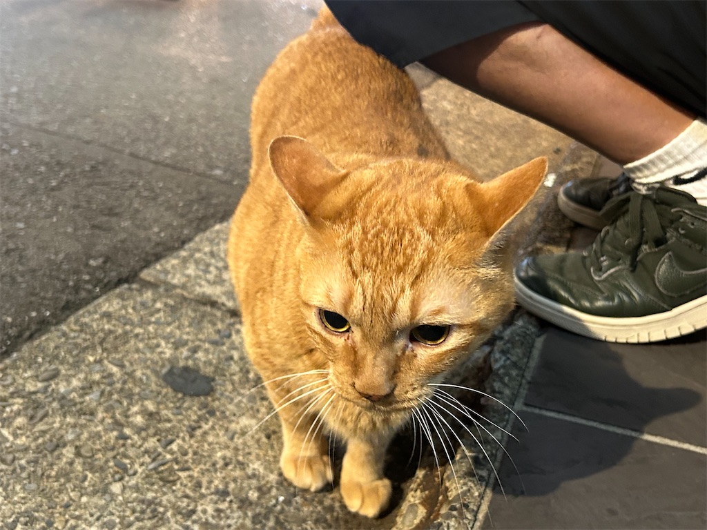 f:id:heurige2:20251129114031j:image