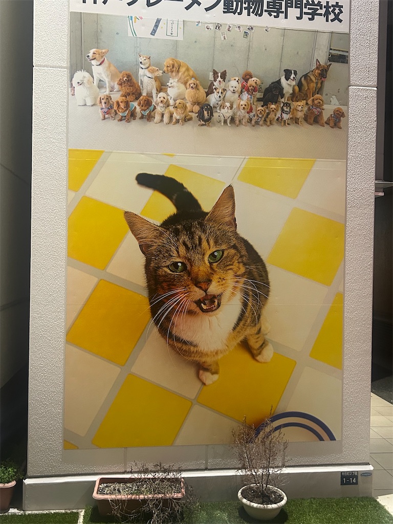 f:id:heurige2:20251129122618j:image