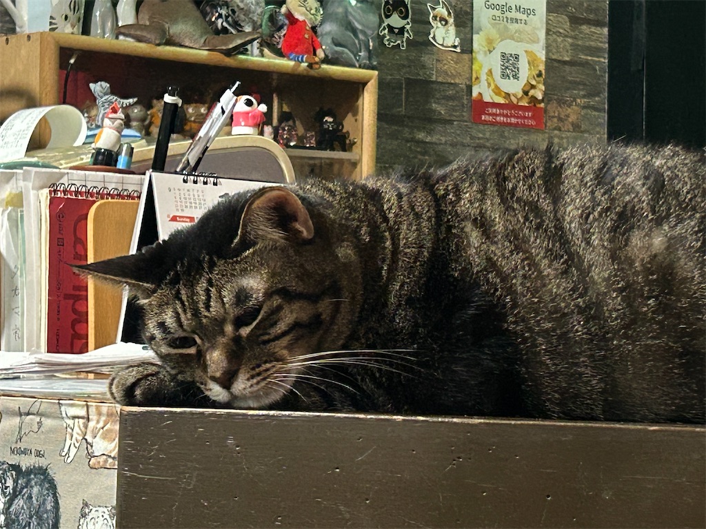 f:id:heurige2:20251129130340j:image